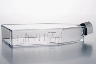 德國艾本德(Eppendorf)Cell Culture FlasksT-175,無菌無熱原,無RNase和DNase,無人類和細(xì)菌DNA,無細(xì)胞毒素,帶密封蓋,未處理,30.0mL